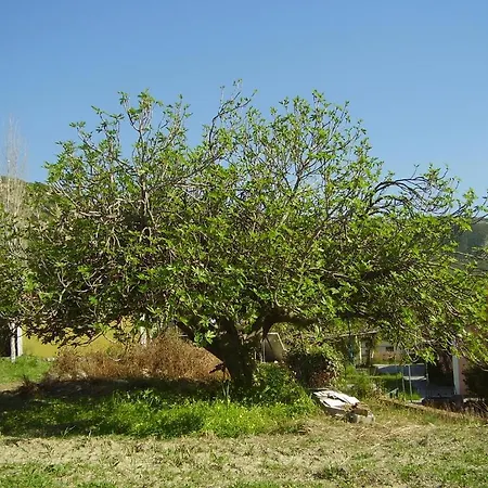 Pantelios Village Apartmán Katelios